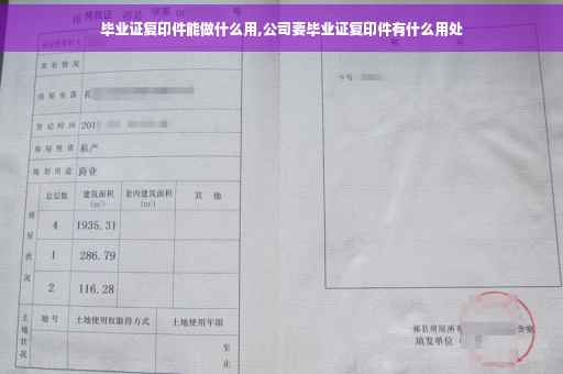 毕业证复印件能做什么用,公司要毕业证复印件有什么用处