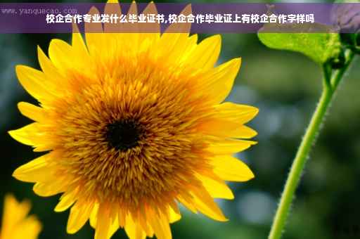 校企合作专业发什么毕业证书,校企合作毕业证上有校企合作字样吗