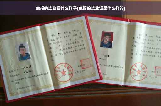 单招的毕业证什么样子(单招的毕业证是什么样的)
