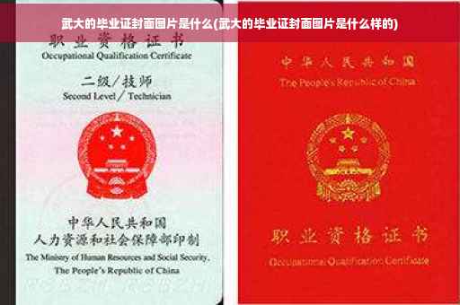 武大的毕业证封面图片是什么(武大的毕业证封面图片是什么样的)