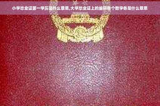 小学毕业证第一学历是什么意思,大学毕业证上的编码各个数字各是什么意思