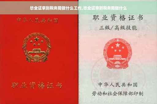 毕业证拿到税务局做什么工作,毕业证拿到税务局做什么