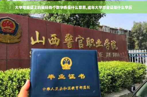 大学毕业证上的编码各个数字各是什么意思,成年大学毕业证是什么学历