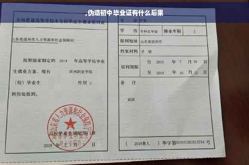 ,伪造初中毕业证有什么后果