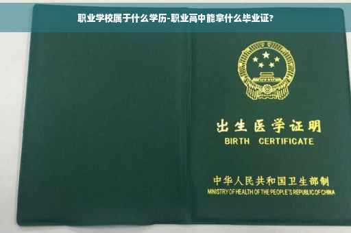 职业学校属于什么学历-职业高中能拿什么毕业证?