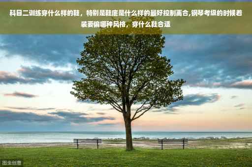 科目二训练穿什么样的鞋，特别是鞋底是什么样的最好控制离合,钢琴考级的时候着装要偏哪种风格，穿什么鞋合适