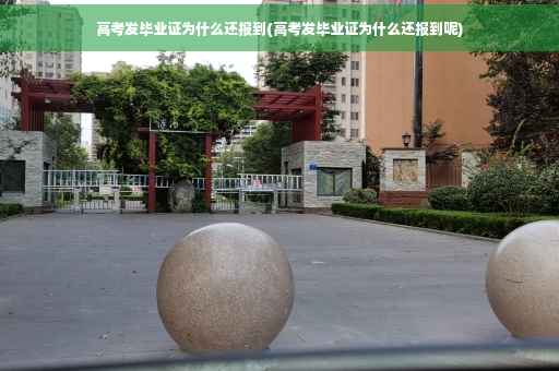 高考发毕业证为什么还报到(高考发毕业证为什么还报到呢)