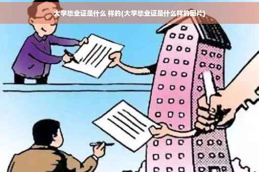 大学毕业证是什么 样的(大学毕业证是什么样的图片)
