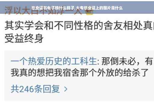 毕业证书电子档什么样子,大专毕业证上的图片是什么