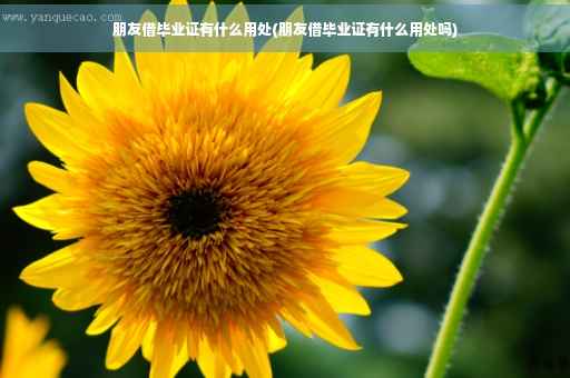 朋友借毕业证有什么用处(朋友借毕业证有什么用处吗)