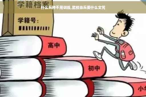 什么兵种不用训练,武校当兵要什么文凭