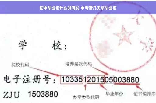 初中毕业证什么时间发,中考后几天拿毕业证