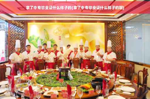拿了中专毕业证什么样子的(拿了中专毕业证什么样子的啊)