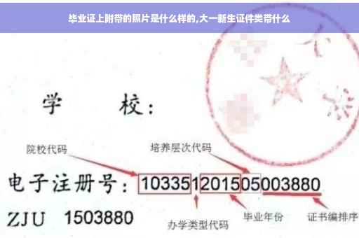 毕业证上附带的照片是什么样的,大一新生证件类带什么