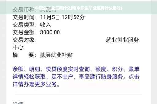 中职生毕业证有什么用(中职生毕业证有什么用处)