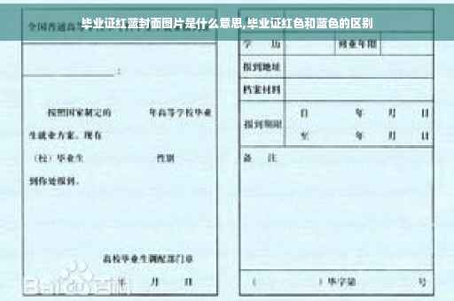 毕业证红蓝封面图片是什么意思,毕业证红色和蓝色的区别