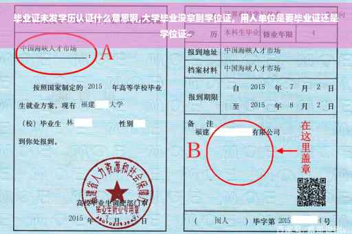 毕业证未发学历认证什么意思啊,大学毕业没拿到学位证，用人单位是要毕业证还是学位证~