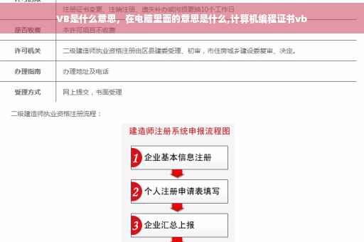 VB是什么意思，在电脑里面的意思是什么,计算机编程证书vb