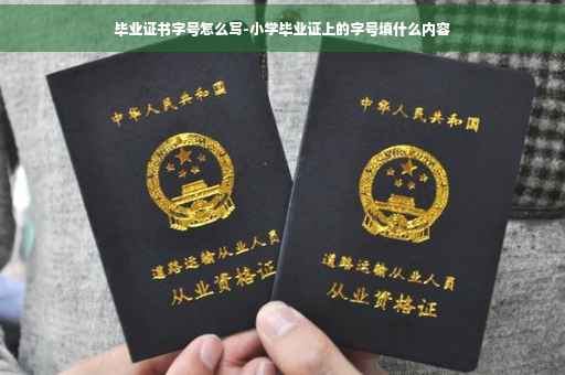 毕业证书字号怎么写-小学毕业证上的字号填什么内容