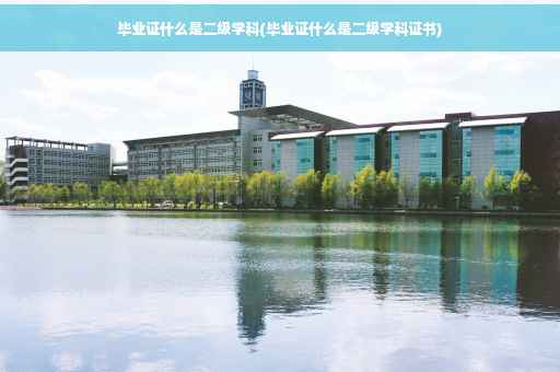 毕业证什么是二级学科(毕业证什么是二级学科证书)