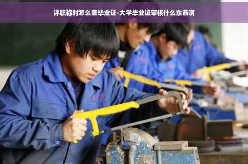 评职称时怎么查毕业证-大学毕业证审核什么东西啊