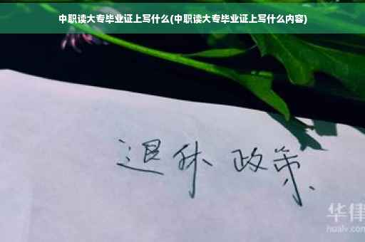 中职读大专毕业证上写什么(中职读大专毕业证上写什么内容)