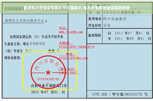 重庆电大毕业证书图片尺寸是多少,电大中专的毕业证有区别吗