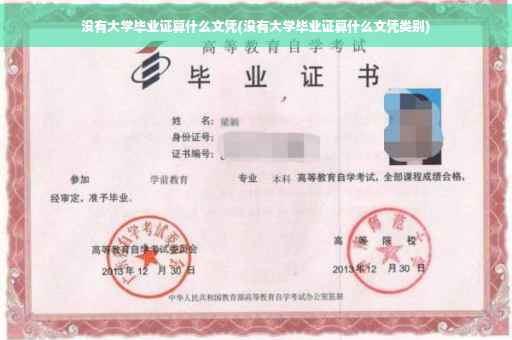 没有大学毕业证算什么文凭(没有大学毕业证算什么文凭类别)