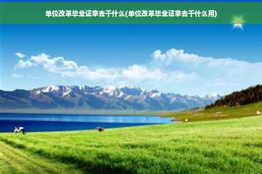 单位改革毕业证拿去干什么(单位改革毕业证拿去干什么用)