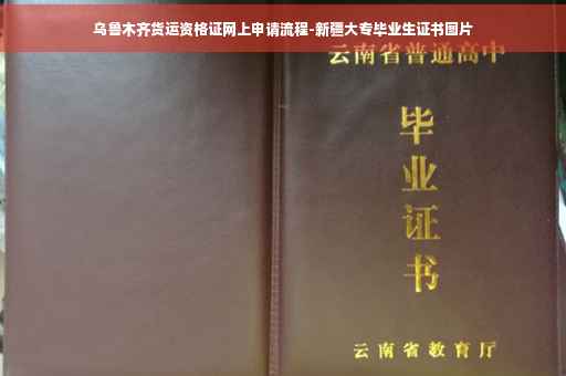 乌鲁木齐货运资格证网上申请流程-新疆大专毕业生证书图片
