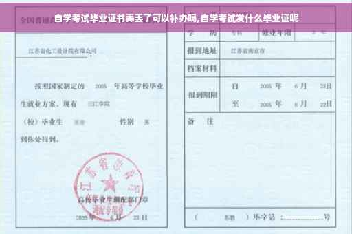 自学考试毕业证书弄丢了可以补办吗,自学考试发什么毕业证呢