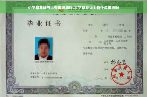 小学毕业证书上有成绩单吗,大学毕业证上有什么成绩吗