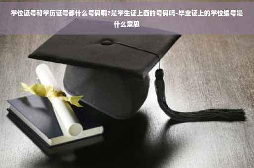 学位证号和学历证号都什么号码啊?是学生证上面的号码吗-毕业证上的学位编号是什么意思