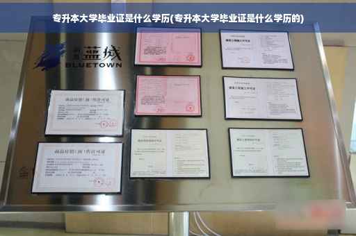 专升本大学毕业证是什么学历(专升本大学毕业证是什么学历的)