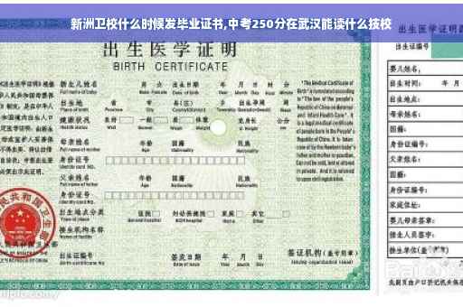 新洲卫校什么时候发毕业证书,中考250分在武汉能读什么技校