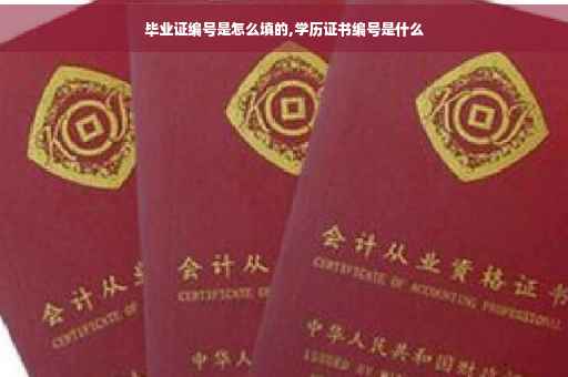 毕业证编号是怎么填的,学历证书编号是什么