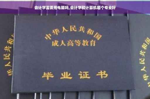 会计学需要用电脑吗,会计学和计算机哪个专业好