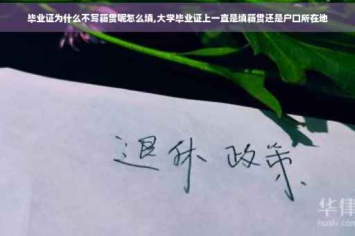 毕业证为什么不写籍贯呢怎么填,大学毕业证上一直是填籍贯还是户口所在地
