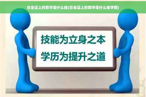 毕业证上的数字是什么体(毕业证上的数字是什么体字啊)