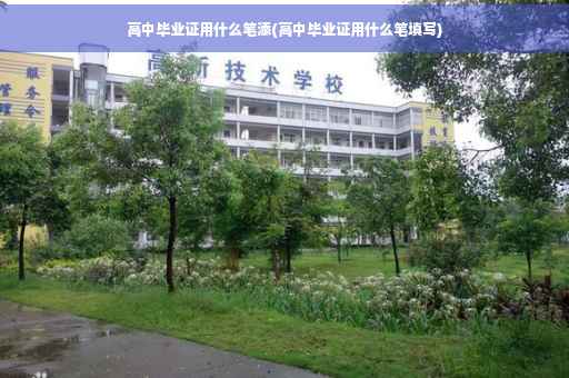 高中毕业证用什么笔添(高中毕业证用什么笔填写)