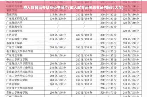 成人教育高考毕业证书图片(成人教育高考毕业证书图片大全)