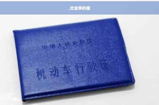 ,毕业季的梗