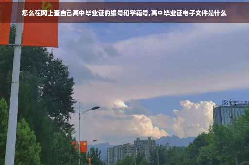 怎么在网上查自己高中毕业证的编号和学籍号,高中毕业证电子文件是什么