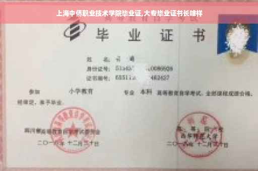 上海中侨职业技术学院毕业证,大专毕业证书长啥样