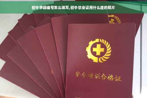 初中学籍编号怎么填写,初中毕业证用什么底的照片
