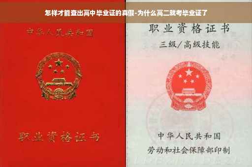 怎样才能查出高中毕业证的真假-为什么高二就考毕业证了