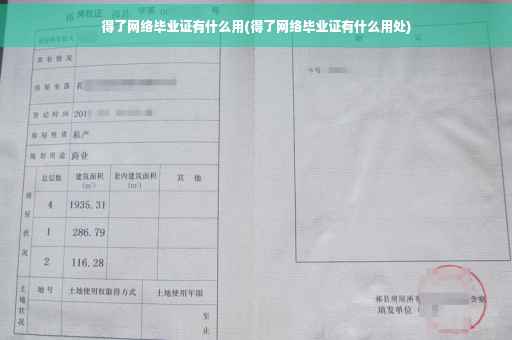 得了网络毕业证有什么用(得了网络毕业证有什么用处)