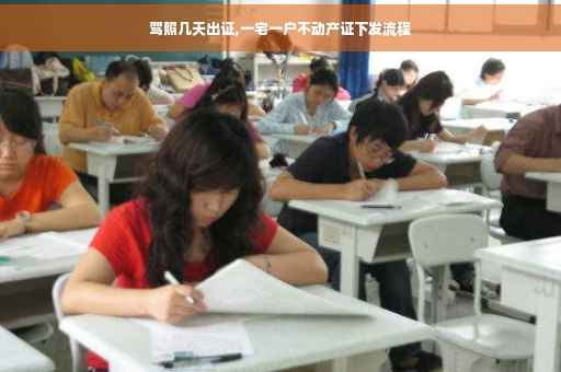 驾照几天出证,一宅一户不动产证下发流程