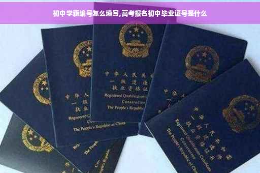 初中学籍编号怎么填写,高考报名初中毕业证号是什么
