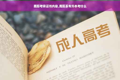 舞蹈考级证书内容,舞蹈系专升本考什么